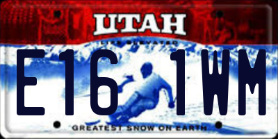 UT license plate E161WM