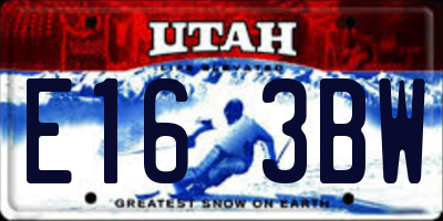 UT license plate E163BW