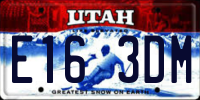 UT license plate E163DM