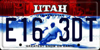 UT license plate E163DT