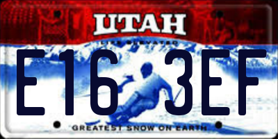 UT license plate E163EF