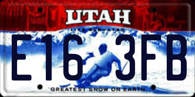 UT license plate E163FB