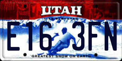 UT license plate E163FN