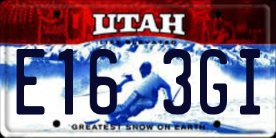 UT license plate E163GI