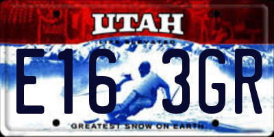 UT license plate E163GR