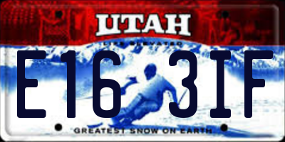 UT license plate E163IF