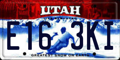 UT license plate E163KI