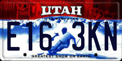 UT license plate E163KN