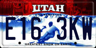 UT license plate E163KW