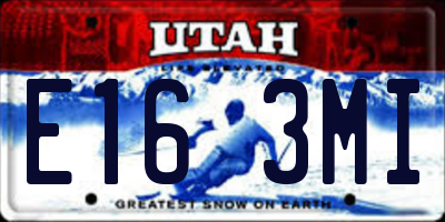 UT license plate E163MI