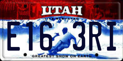 UT license plate E163RI