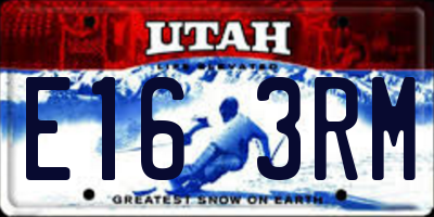UT license plate E163RM