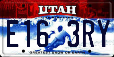 UT license plate E163RY