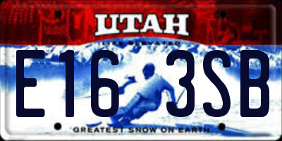UT license plate E163SB