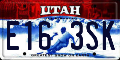 UT license plate E163SK
