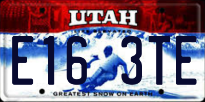UT license plate E163TE