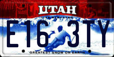UT license plate E163TY