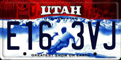 UT license plate E163VJ