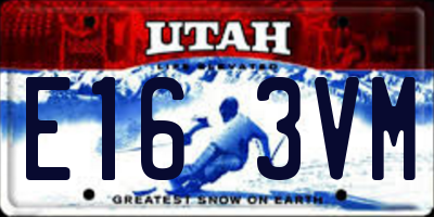 UT license plate E163VM