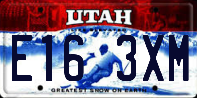 UT license plate E163XM