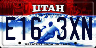 UT license plate E163XN
