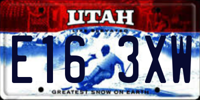 UT license plate E163XW