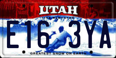 UT license plate E163YA