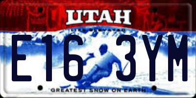 UT license plate E163YM