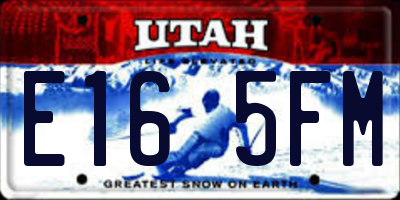UT license plate E165FM