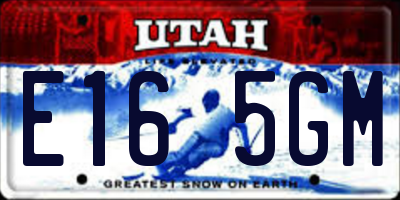 UT license plate E165GM