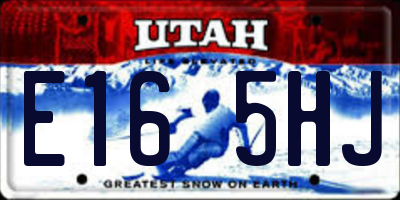 UT license plate E165HJ