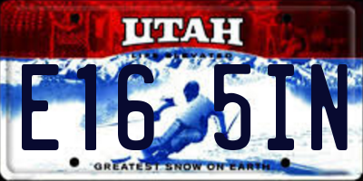 UT license plate E165IN