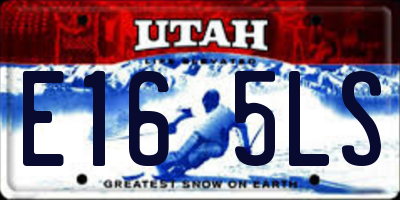 UT license plate E165LS