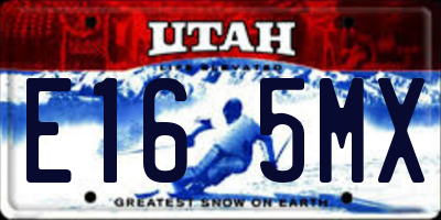 UT license plate E165MX