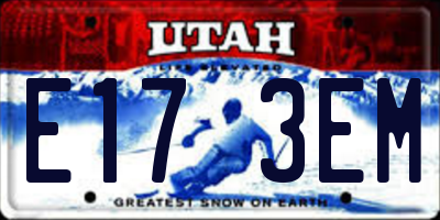 UT license plate E173EM