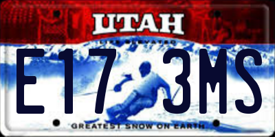 UT license plate E173MS