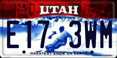 UT license plate E173WM