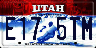 UT license plate E175TM