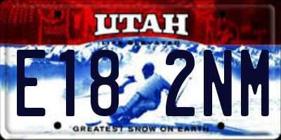 UT license plate E182NM