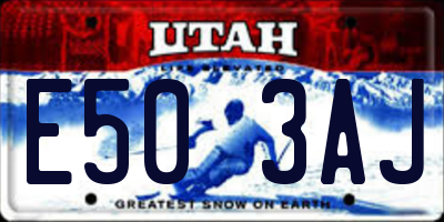 UT license plate E503AJ