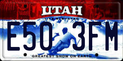 UT license plate E503FM