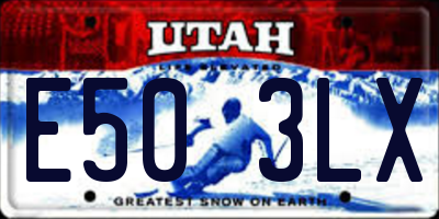 UT license plate E503LX
