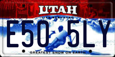 UT license plate E505LY