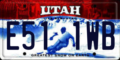 UT license plate E511WB