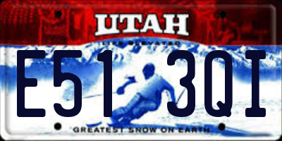UT license plate E513QI