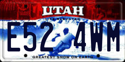 UT license plate E524WM