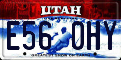 UT license plate E560HY