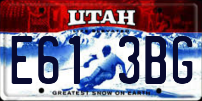 UT license plate E613BG