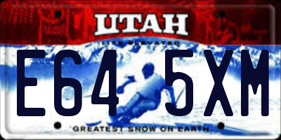 UT license plate E645XM