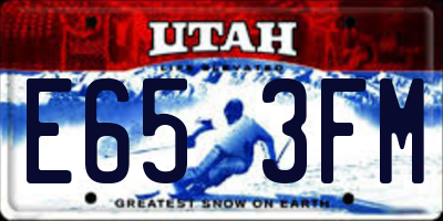 UT license plate E653FM